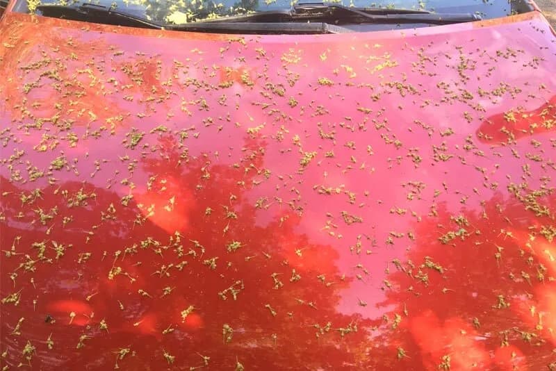 Czym myć samochód, aby uniknąć rys i uszkodzeń lakieru?